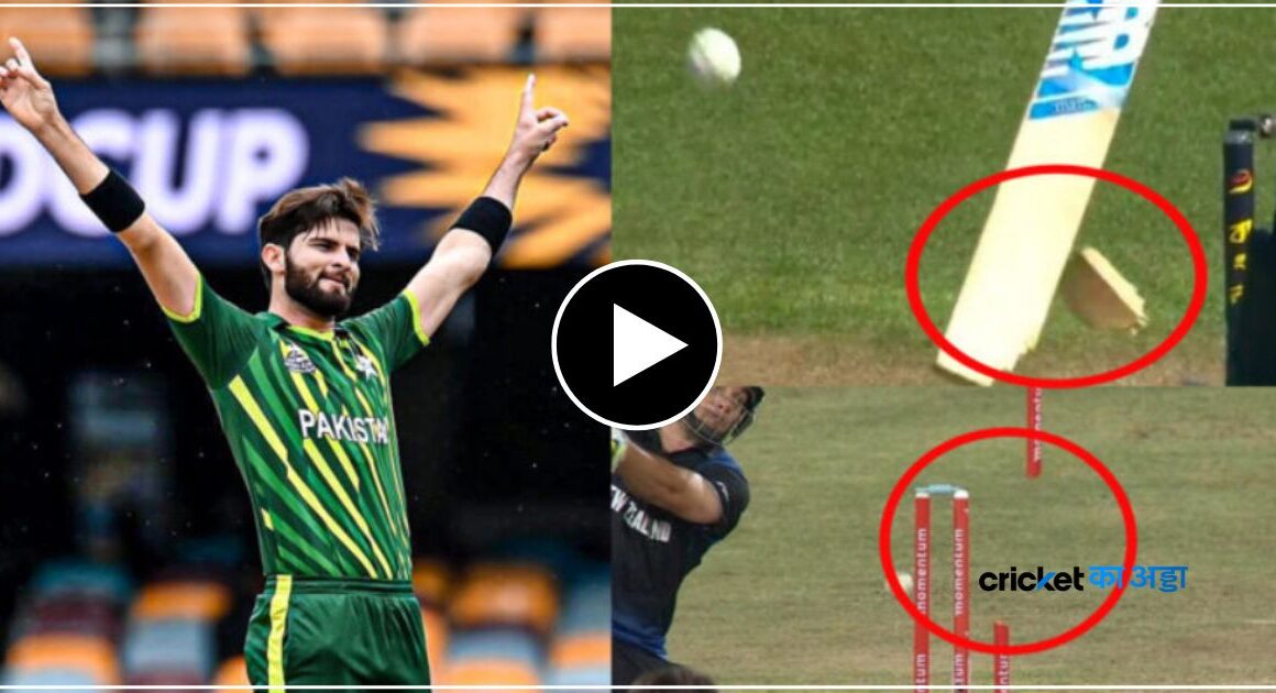 मैच से पहले पाकिस्तान बरपा रही है कहर, गेंदबाज ने फेंकी ऐसी गेंद, तोडा स्टंप, टुटा बैट, बल्लेबाज का टुटा- देखें वीडियो