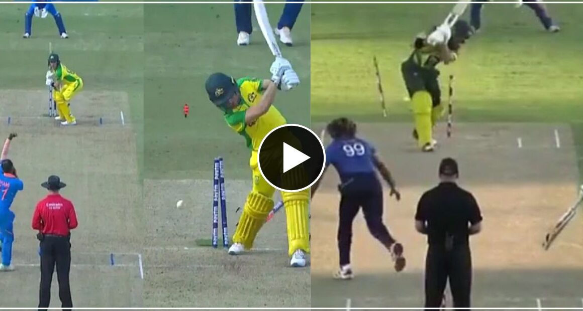लास्ट ओवर में यॉर्कर किंग बने मोहम्मद शमी, फैंस को आयी मलिंगा की याद- वीडियो