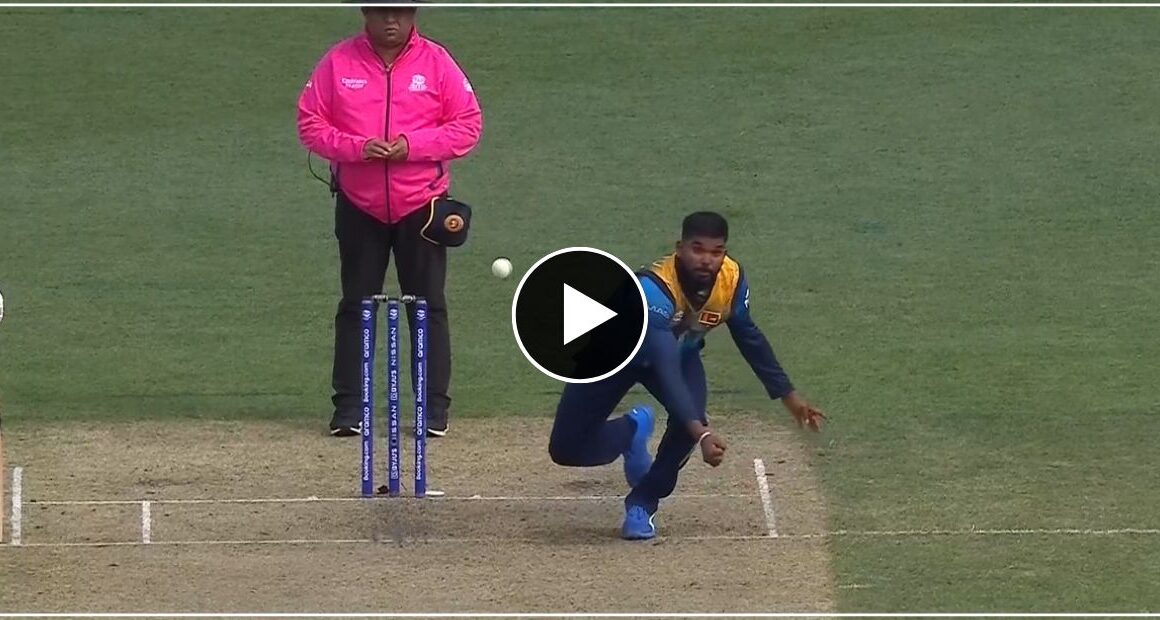 हसरंगा ने विकेट के लिए फेंकी गंsबिल्ली गेंद, सोशल मिडिया पर बरपाया कहर – वीडियो