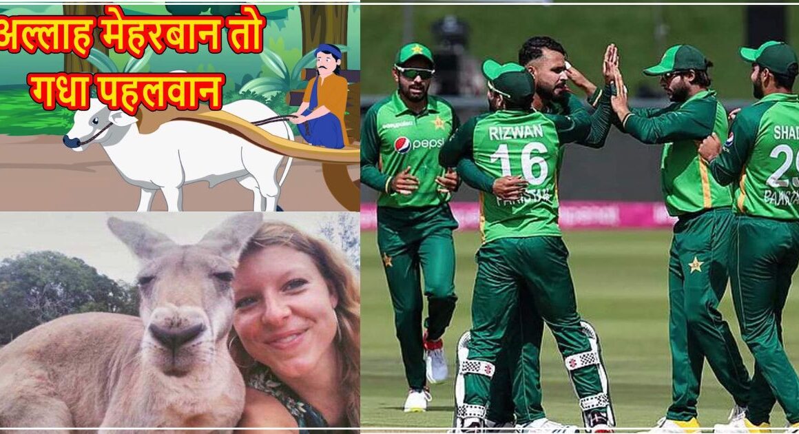 किस्मत मेहरबान तो गधा भी पहलवान, ” बांग्लादेश को हराकर सेमीफइनल में पहुंची पाकिस्तान, सोशल मिडिया पर आयी मीम्स की बाढ़