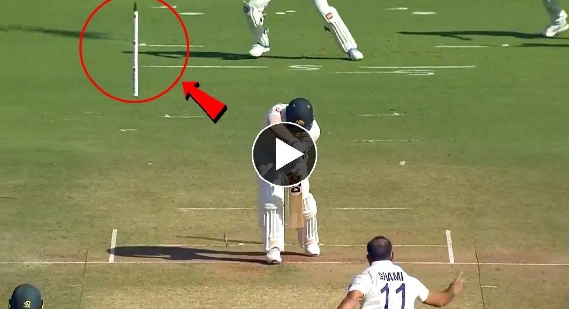 IND vs AUS 4th test : मोहम्मद शमी की तूफान वाली गेंद ने जड़ से उखाड़ फेंका स्टंप, निहारता रहगया बल्लेबाज